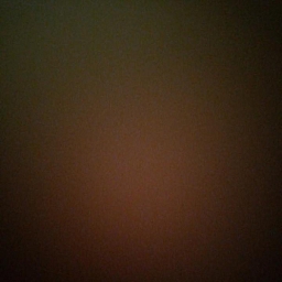 foto perfil